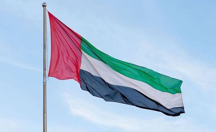 UAE $550 million for UN’s 2026 Global Humanitarian Overview
